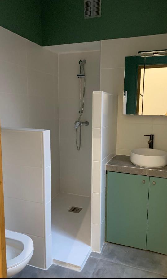 Magnifique Duplex - Centre Medecin Apartment